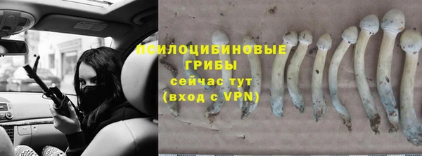 гидропоника Алексин