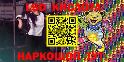 a pvp Камышлов