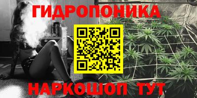 a pvp Камышлов