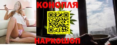 a pvp Камышлов