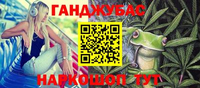 a pvp Камышлов