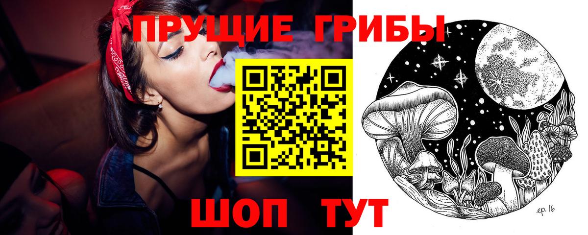 Галлюциногенные грибы прущие грибы  Вход с VPN  Луга 