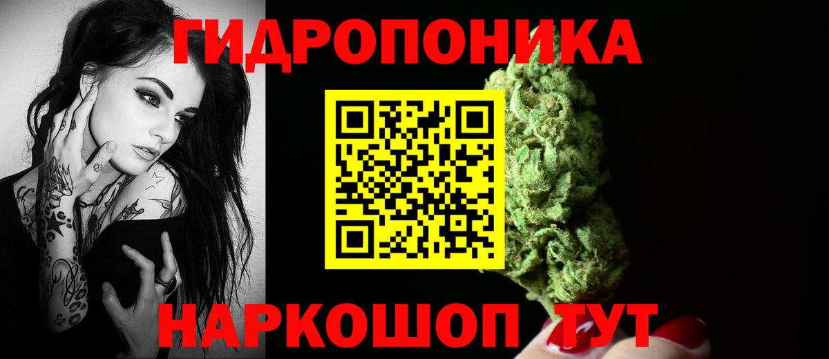 МАРИХУАНА OG Kush Луга